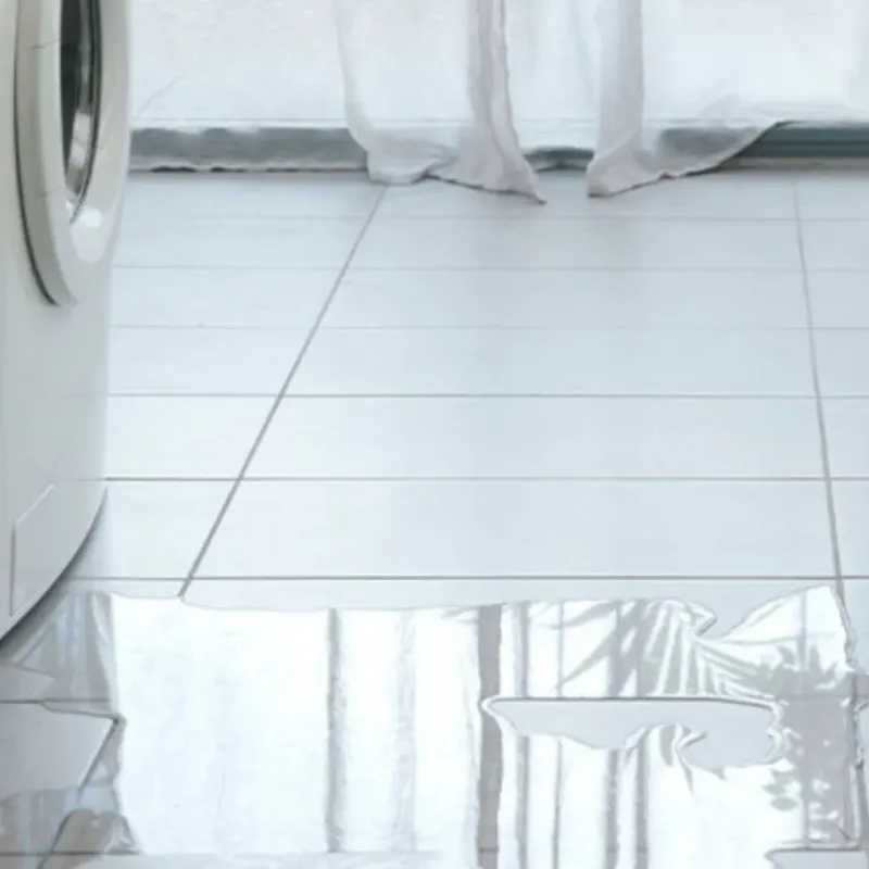 Appliance Leak Cleanup in Winchester, NH