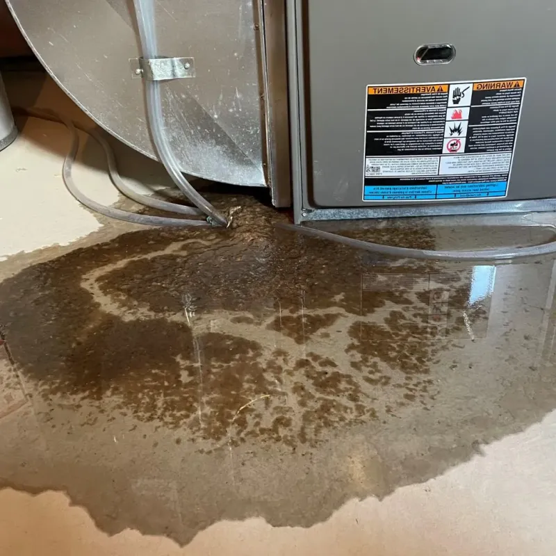 Pipe Burst and Leak Restoration in Winchester, NH